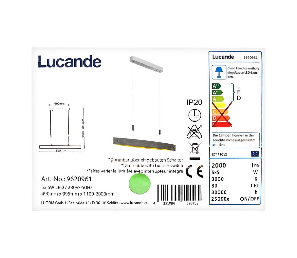 Lucande Lucande - LED Stmievateľný luster na lanku LIO 5xLED/5W/230V 