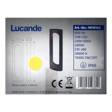 Lucande - LED Vonkajšia lampa FENTI LED/12W/230V IP65