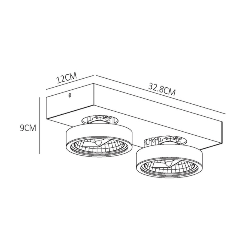 Lucide 09920/20/36 - LED Stmievateľné bodové svietidlo NENAD AR111 2xG53/10W/18V