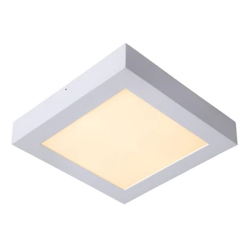 Lucide 28107/22/31 - LED Stmievateľné stropné svietidlo BRICE LED/22W/230V 22x22 cm