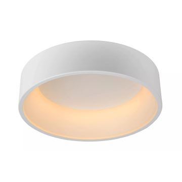 Lucide 46100/32/31 - LED Stmievateľné stropné svietidlo TALOWE LED LED/32W/230V