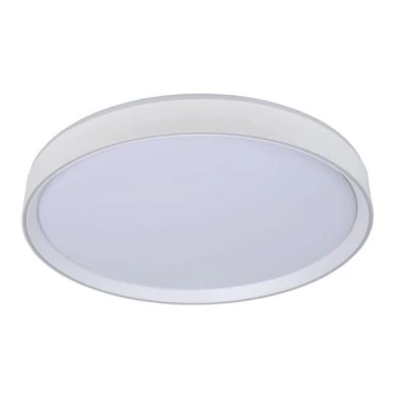 Lucide 79182/36/31 - LED Stmievateľné stropné svietidlo NURIA LED/36W/230V