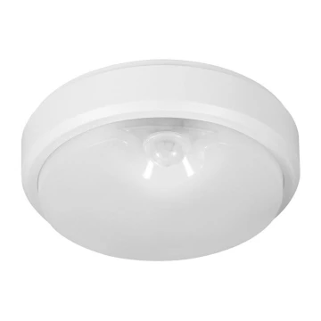 Müller-Licht - LED Vonkajšie stropné svietidlo so senzorom PICTOR LED/8W/230V IP54