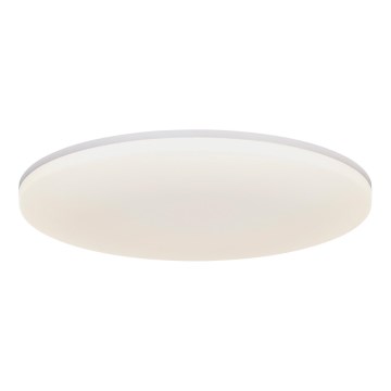 Nordlux - LED Stropné svietidlo VIC LED/24W/230V IP40