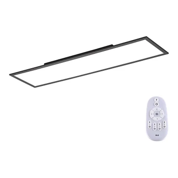 Paul Neuhaus 16533-16-O - LED Stmievateľný prisadený panel FLAT LED/24W/230V 2700-5000K čierna + diaľkové ovládanie