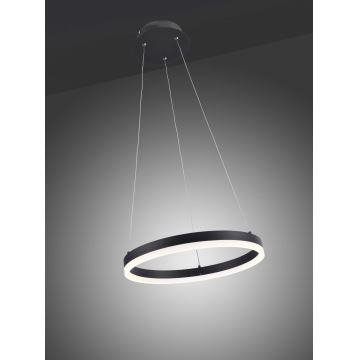 Paul Neuhaus 2381-13 - LED Stmievateľný luster na lanku TITUS LED/28W/230V