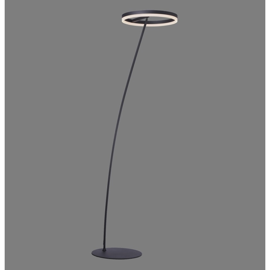 Paul Neuhaus 381-13 - LED Stmevateľná stojacia lampa TITUS LED/19,5W/230V