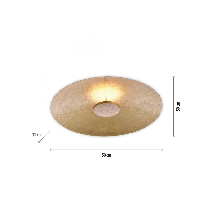 Paul Neuhaus 8132-12 - LED Stmievateľné stropné svietidlo PLATE LED/25W/230V