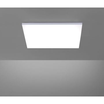 Paul Neuhaus 8492-16 - LED Stmievateľný prisadený panel FRAMELESS LED/35W/230V + diaľkové ovládanie