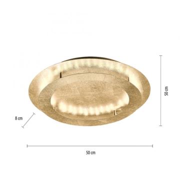 Paul Neuhaus 9621-12 - LED Stropné svietidlo NEVIS LED/24W/230V