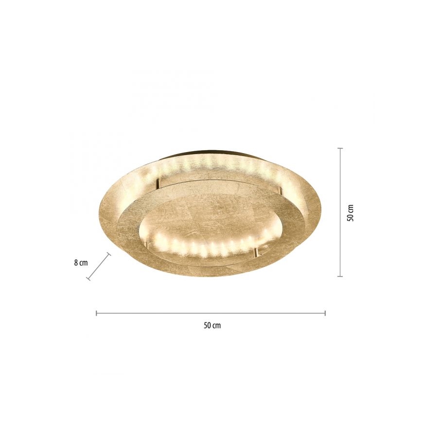 Paul Neuhaus 9621-12 - LED Stropné svietidlo NEVIS LED/24W/230V