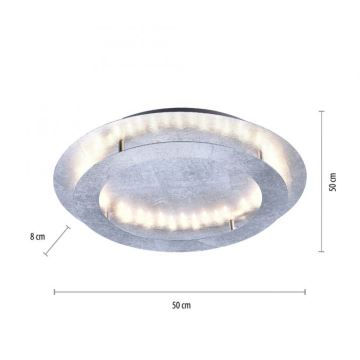 Paul Neuhaus 9621-21 - LED Stropné svietidlo NEVIS LED/24W/230V