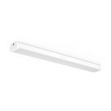 Philips 31247/31/P0 - LED Technické žiarivkové svietidlo AQUALINE LED/50W/230V IP65