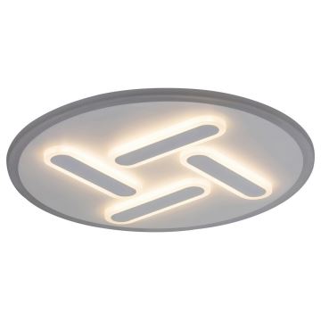 Rabalux - LED Stmievateľné stropné svietidlo LED/36W/230V