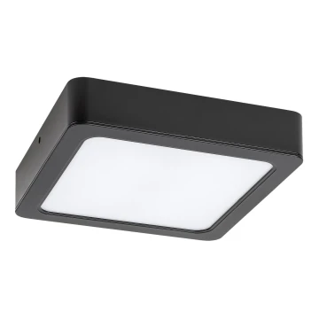 Rabalux - LED Kúpeľňové stropné svietidlo LED/24W/230V 22 cm IP44