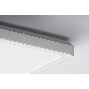 Rabalux - LED Prisadený panel LED/22W/230V
