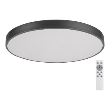 Rabalux - LED Stmievateľné stropné svietidlo LED/60W/230V 60 cm + DO