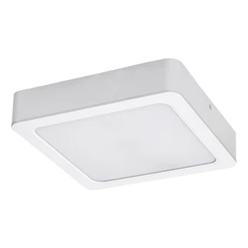 Rabalux - LED Stropné svietidlo LED/15W/230V 4000K 16x16 cm biela