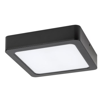 Rabalux - LED Stropné svietidlo LED/15W/230V 4000K 16x16 cm čierna