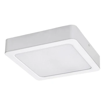 Rabalux - LED Stropné svietidlo LED/24W/230V 4000K 22x22 cm biela