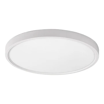 Rabalux - LED Stropné svietidlo LED/24W/230V 4000K pr. 30 cm biela