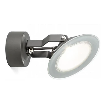 RED - Design Rendl - R11753- LED Vonkajšie nástenné svietidlo FOX LED/9W/230V IP65