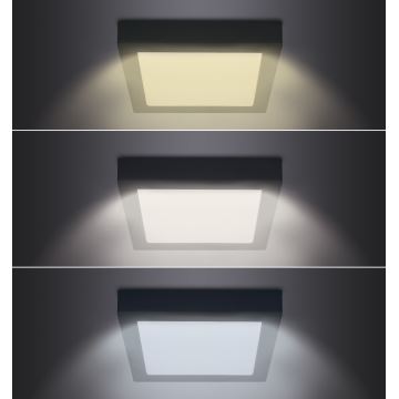 LED Stropné svietidlo LED/12W/230V 3000/4000/6000K čierna hranatý
