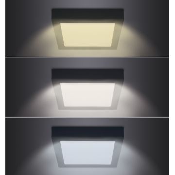 LED Stropné svietidlo LED/18W/230V 3000/4000/6000K čierna hranatý