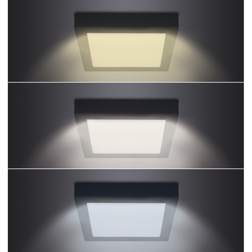 LED Stropné svietidlo LED/18W/230V 3000/4000/6000K čierna hranatý