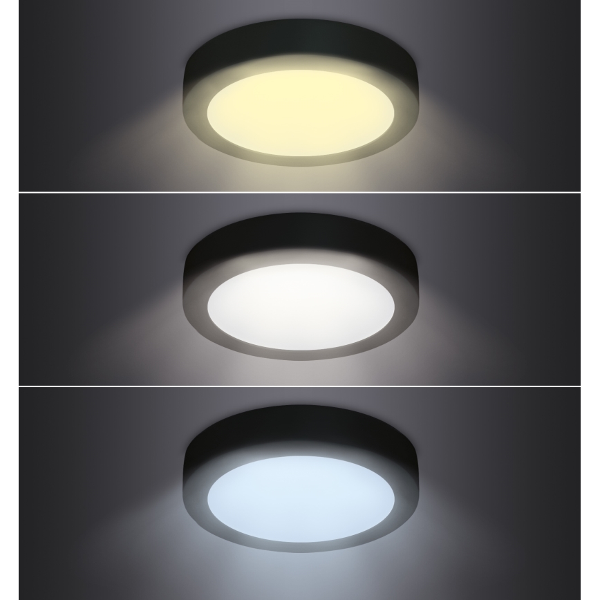 LED Stropné svietidlo LED/24W/230V 3000/4000/6000K čierna okrúhly