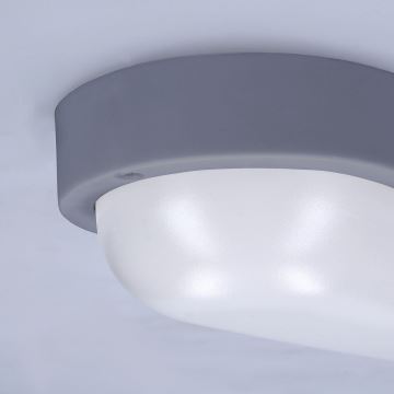 LED Vonkajšie nástenné svietidlo LED/13W/230V 4000K IP54 šedá oválny