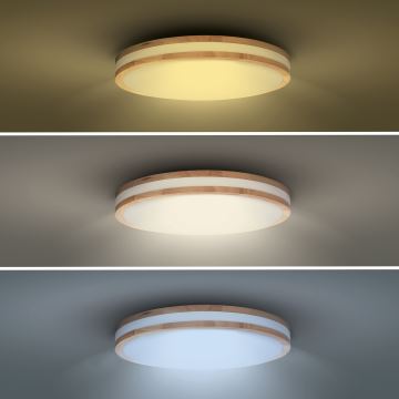 LED Stmievateľné stropné svietidlo WOODY LED/48W/230V 3000-6500K dub pr. 38 cm + diaľkové ovládanie