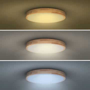 LED Stmievateľné stropné svietidlo SOLID OAK LED/60W/230V 3000-6500K dub pr. 51 cm + diaľkové ovládanie