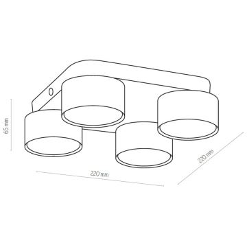 Stropné svietidlo SPACE 4xGX53/15W/230V biela