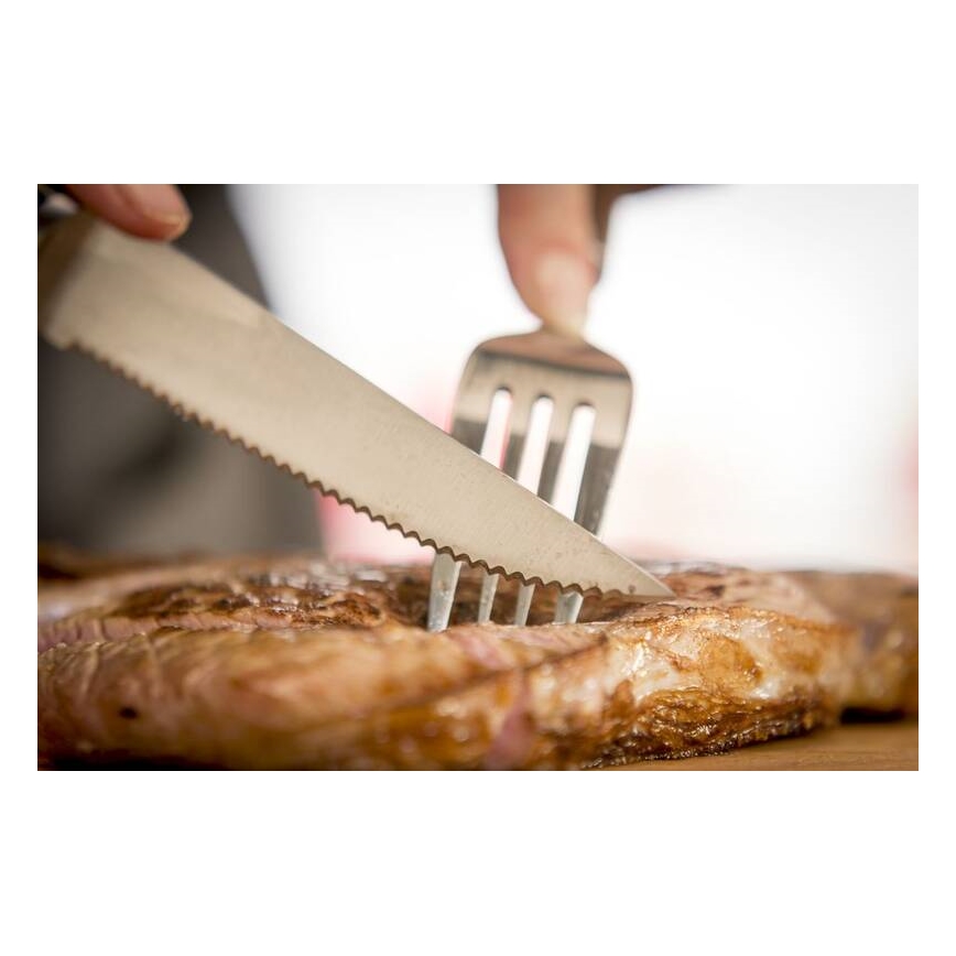 Tefal - Nerezový nôž na steak ICE FORCE 11 cm chróm/čierna