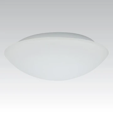 Vonkajšie nástenné svietidlo KAROLINA 2xE27/60W opálové sklo IP44