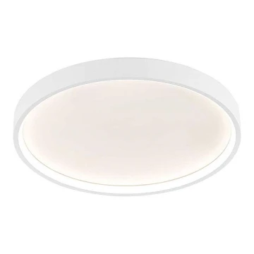 Wofi 12055 - LED Stmievateľné stropné svietidlo DUBAI LED/27,5W/230V biela