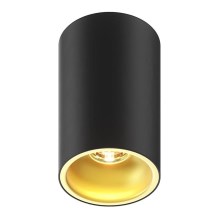 Zuma Line - Bodové svietidlo 1xGU10/50W/230V čierna/zlatá